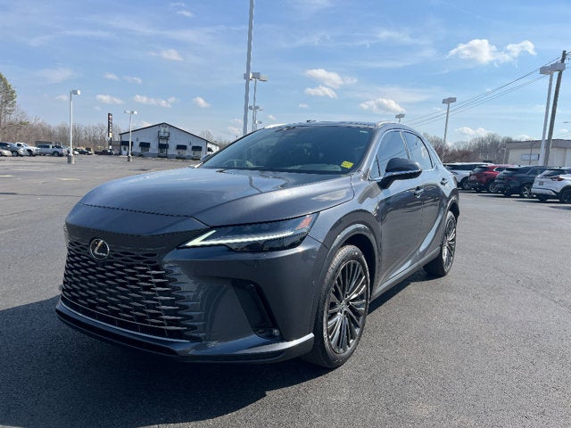 2025 Lexus RX RX 350 Luxury