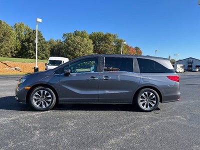 2024 Honda Odyssey EX-L