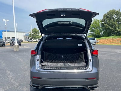 2021 Lexus NX NX 300 F SPORT