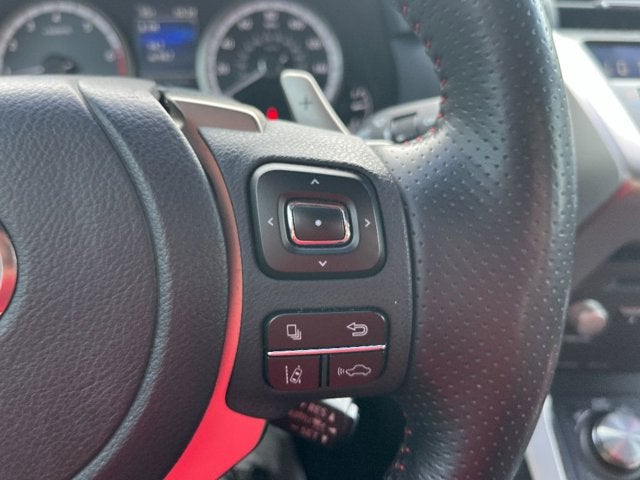 2021 Lexus NX NX 300 F SPORT